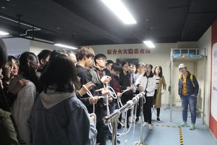 文明守纪树良风，安全教育我先行——我院组织学生参观安全体验馆